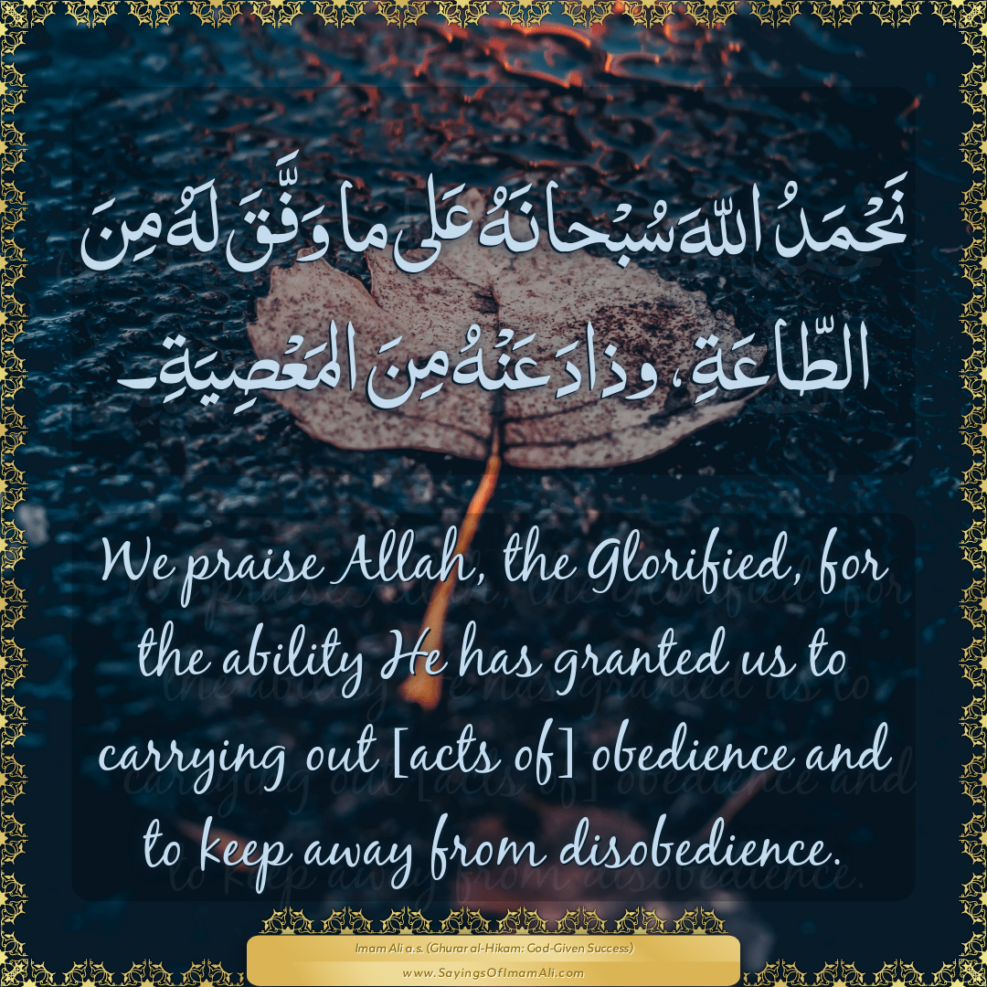 We praise Allah, the Glorified, for the ability He has granted us to...